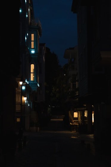妖精动漫 - 电锯人 剧场版 蕾塞篇